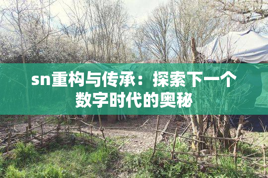 sn重构与传承：探索下一个数字时代的奥秘