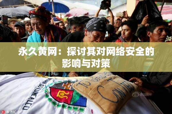 永久黄网：探讨其对网络安全的影响与对策