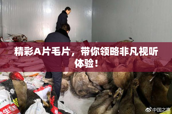 精彩A片毛片，带你领略非凡视听体验！