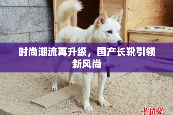 时尚潮流再升级，国产长靴引领新风尚