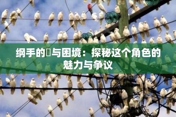纲手的婬与困境：探秘这个角色的魅力与争议