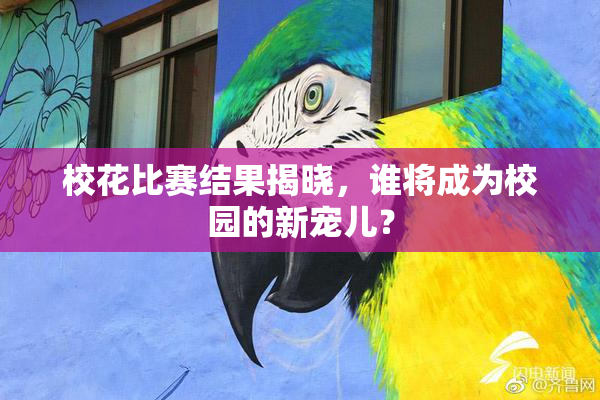 校花比赛结果揭晓，谁将成为校园的新宠儿？