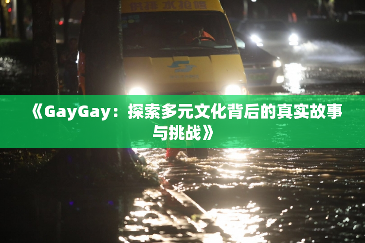 《GayGay：探索多元文化背后的真实故事与挑战》