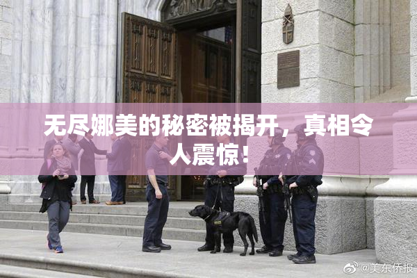 无尽娜美的秘密被揭开，真相令人震惊！