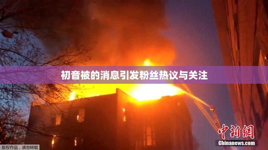 初音被的消息引发粉丝热议与关注