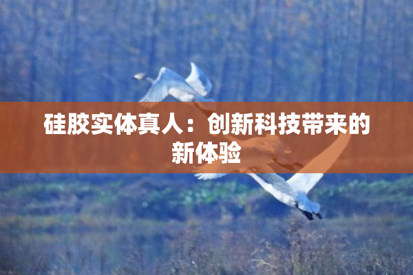 硅胶实体真人：创新科技带来的新体验