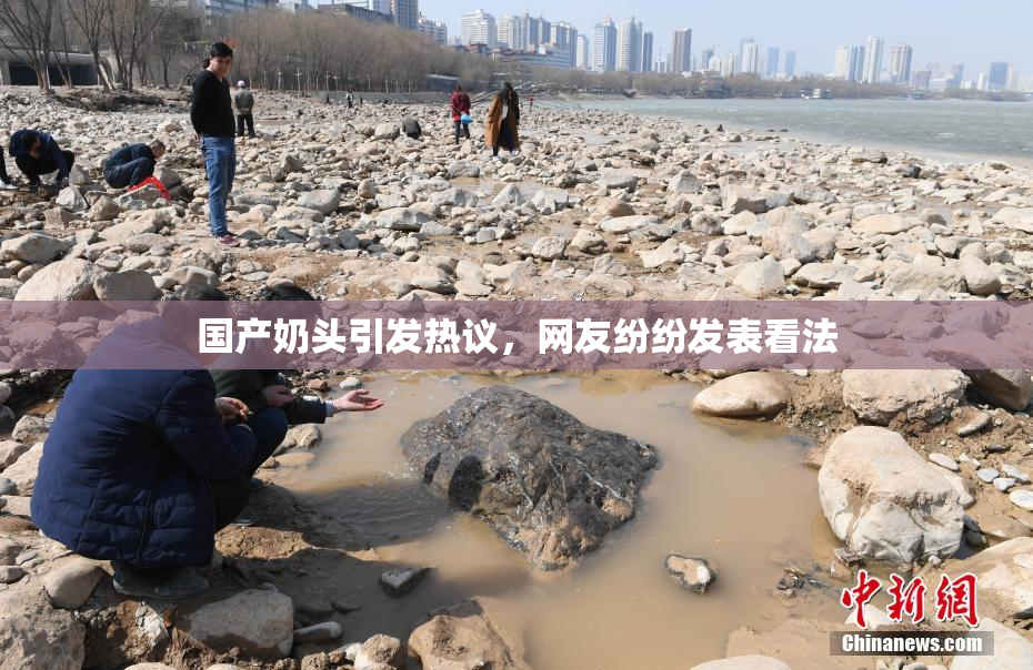 国产奶头引发热议，网友纷纷发表看法