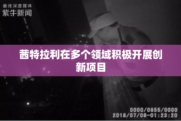 茜特拉利在多个领域积极开展创新项目