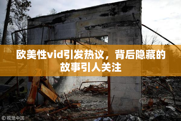 欧美性vid引发热议，背后隐藏的故事引人关注