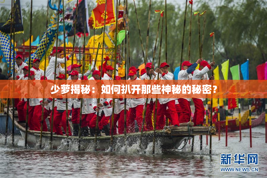 少萝揭秘：如何扒开那些神秘的秘密？