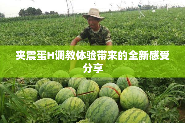 夹震蛋H调教体验带来的全新感受分享