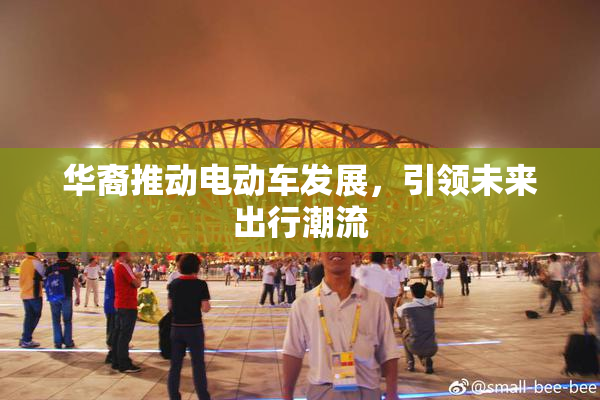 华裔推动电动车发展，引领未来出行潮流
