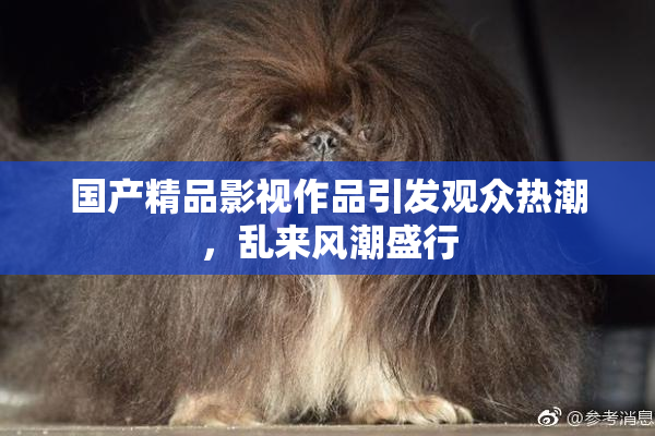 国产精品影视作品引发观众热潮，乱来风潮盛行