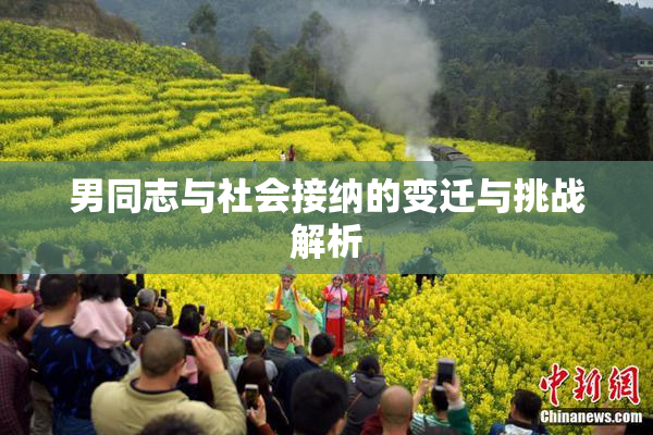 男同志与社会接纳的变迁与挑战解析