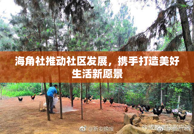 海角社推动社区发展，携手打造美好生活新愿景