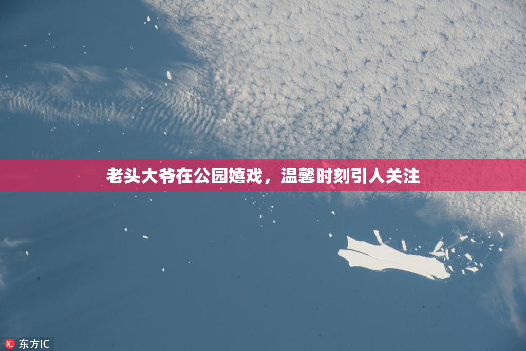 老头大爷在公园嬉戏，温馨时刻引人关注