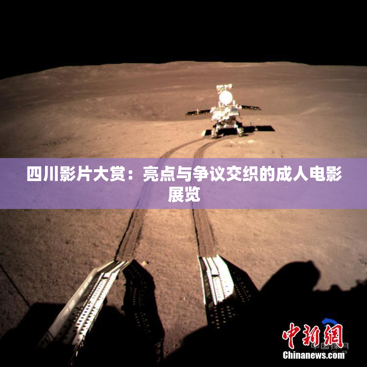 四川影片大赏：亮点与争议交织的成人电影展览