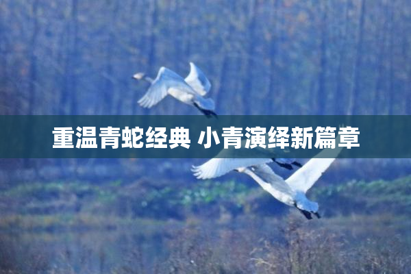重温青蛇经典 小青演绎新篇章