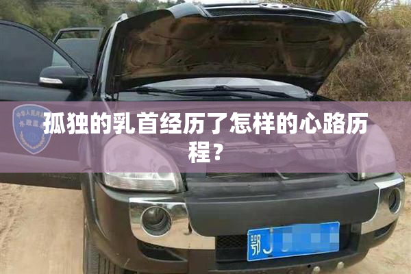 孤独的乳首经历了怎样的心路历程？