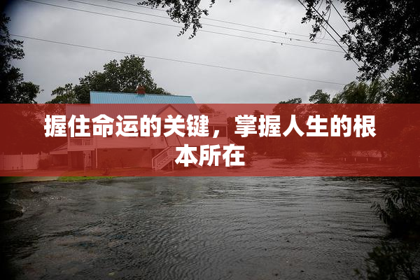 握住命运的关键，掌握人生的根本所在