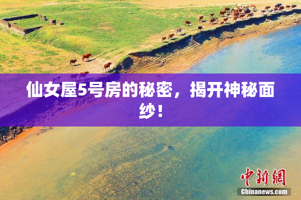 仙女屋5号房的秘密，揭开神秘面纱！