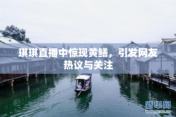 琪琪直播中惊现黄鳝，引发网友热议与关注
