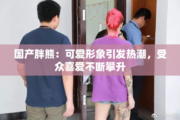 国产胖熊：可爱形象引发热潮，受众喜爱不断攀升