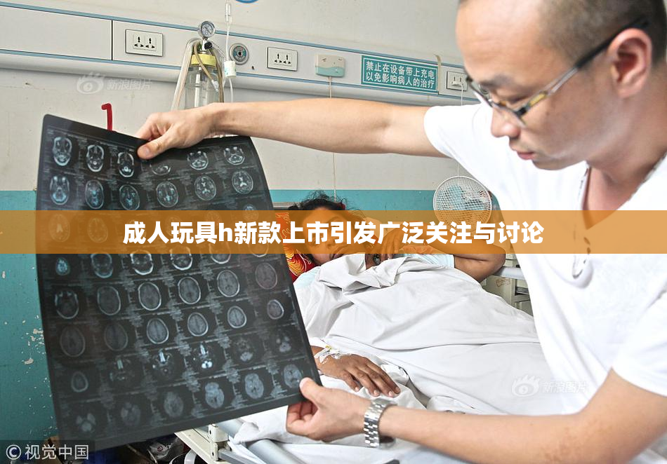 成人玩具h新款上市引发广泛关注与讨论