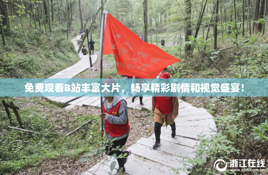 免费观看B站丰富大片，畅享精彩剧情和视觉盛宴！