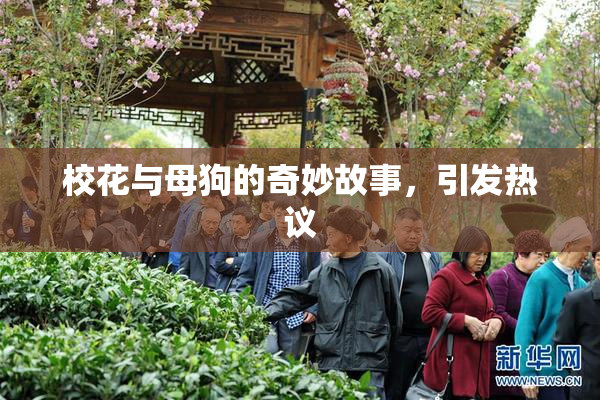 校花与母狗的奇妙故事，引发热议
