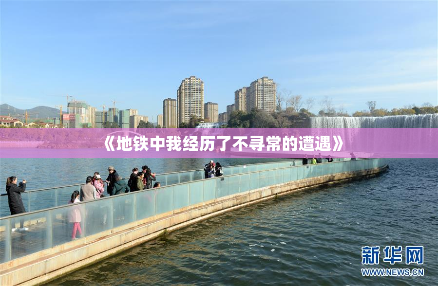 《地铁中我经历了不寻常的遭遇》