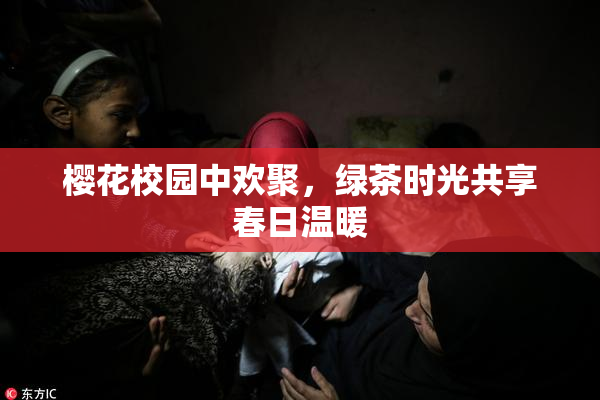 樱花校园中欢聚，绿茶时光共享春日温暖