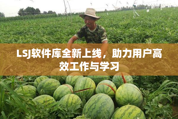LSJ软件库全新上线，助力用户高效工作与学习