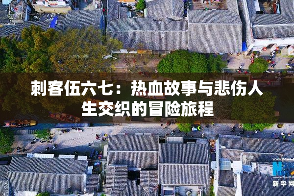 刺客伍六七：热血故事与悲伤人生交织的冒险旅程