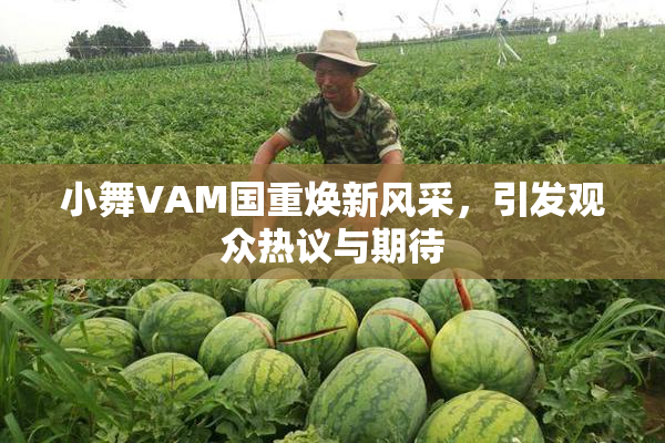 小舞VAM国重焕新风采，引发观众热议与期待