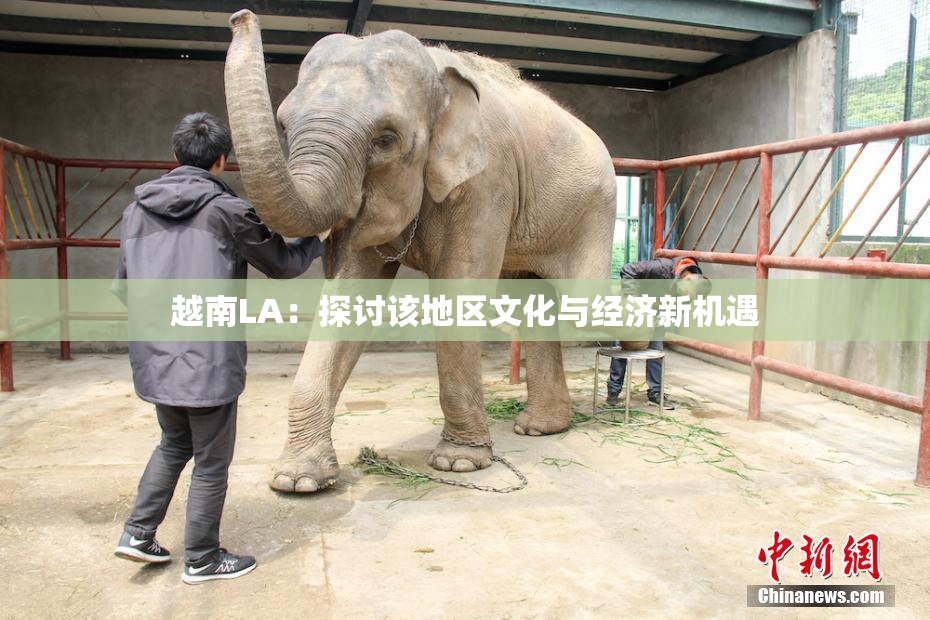 越南LA：探讨该地区文化与经济新机遇