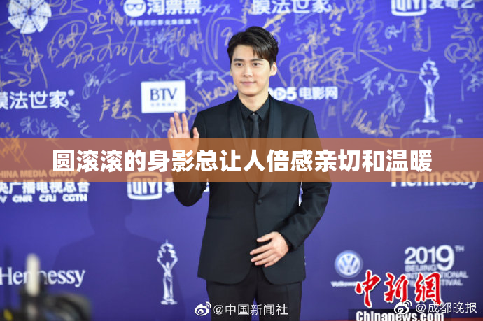 圆滚滚的身影总让人倍感亲切和温暖