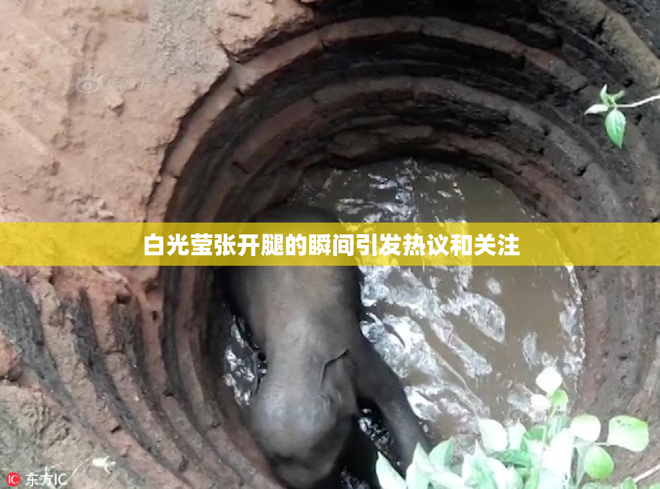 白光莹张开腿的瞬间引发热议和关注