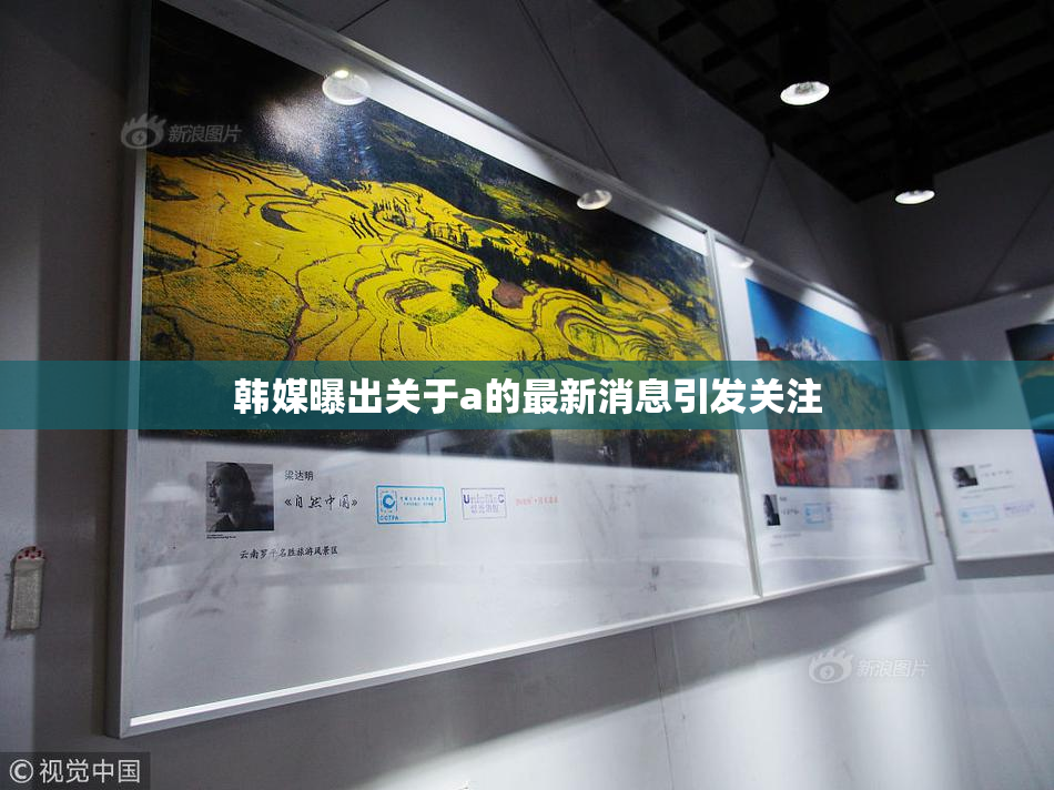 韩媒曝出关于a的最新消息引发关注