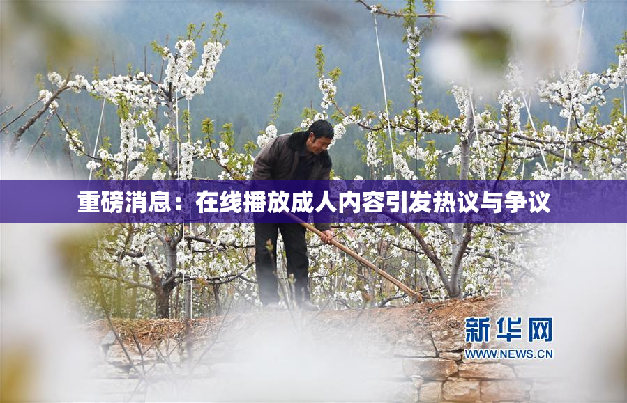 重磅消息：在线播放成人内容引发热议与争议