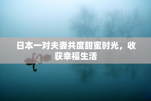 日本一对夫妻共度甜蜜时光，收获幸福生活