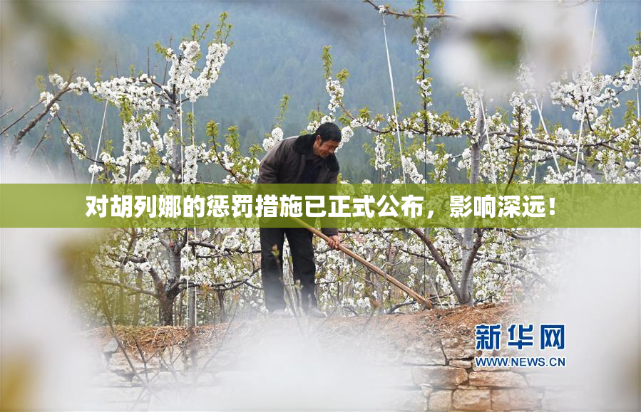 对胡列娜的惩罚措施已正式公布，影响深远！