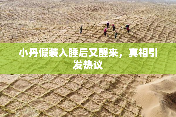 小丹假装入睡后又醒来，真相引发热议