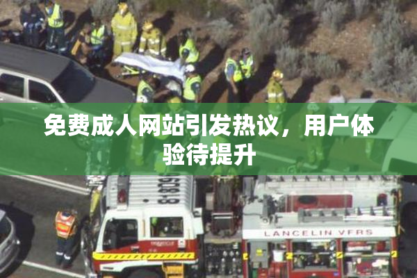 免费成人网站引发热议，用户体验待提升