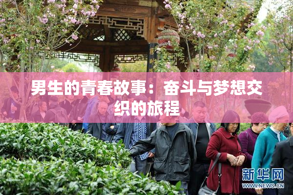 男生的青春故事：奋斗与梦想交织的旅程