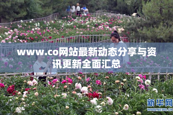 www.co网站最新动态分享与资讯更新全面汇总