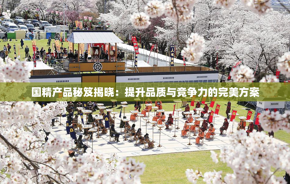 国精产品秘笈揭晓：提升品质与竞争力的完美方案