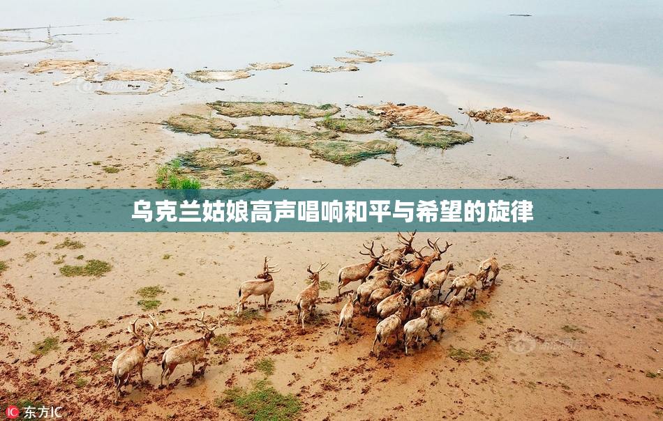 乌克兰姑娘高声唱响和平与希望的旋律
