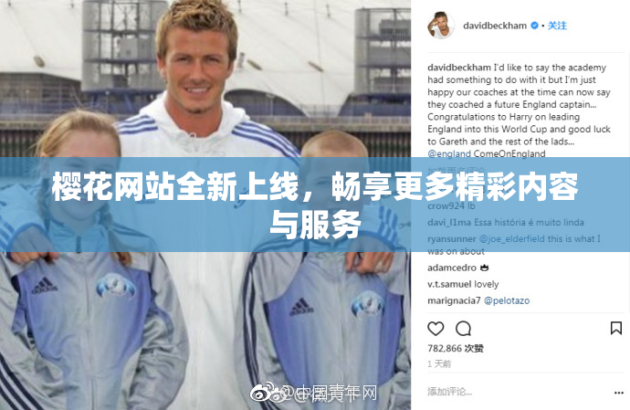 樱花网站全新上线，畅享更多精彩内容与服务