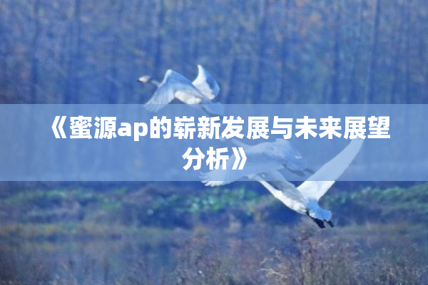 《蜜源ap的崭新发展与未来展望分析》